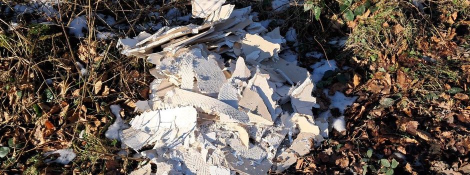 Illegale Müllentsorgung im Wald