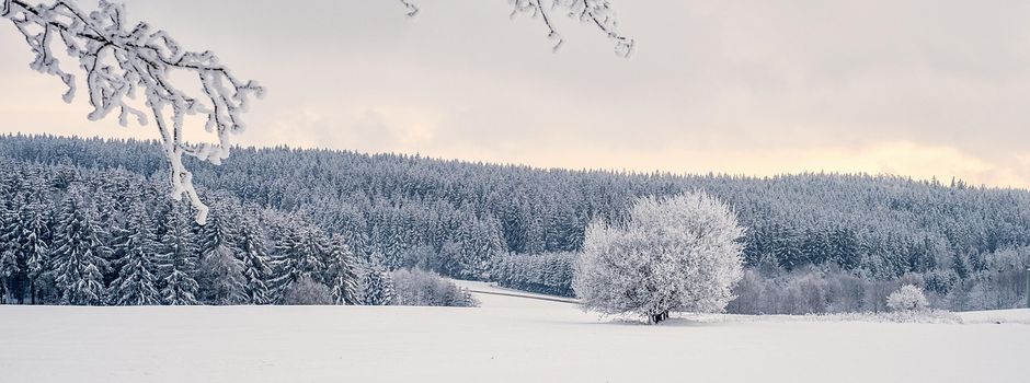Ski & Café im Schwalbenthal