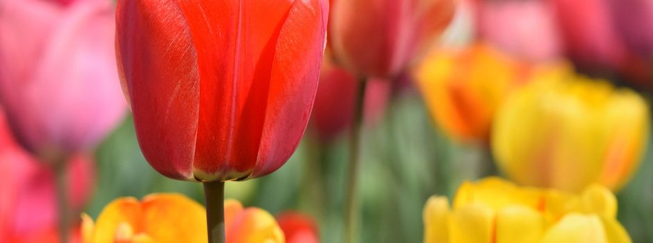 Jahreshauptversammlung des Heimatvereins Hohn e.V.