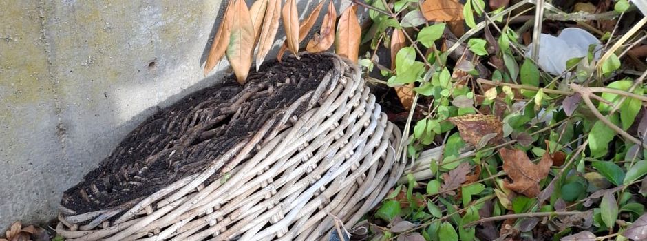 Mülltrennung auf dem Friedhof