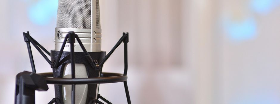 Die Sumpfgeister informieren:  Saugatter g ́schnorr