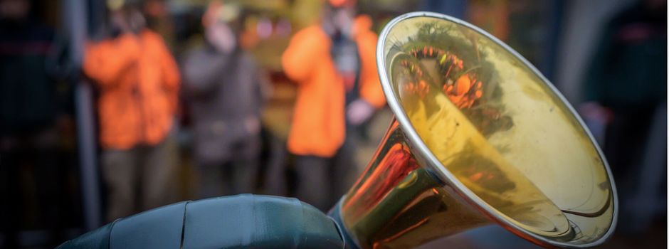 Landesforsten bejagen Wälder