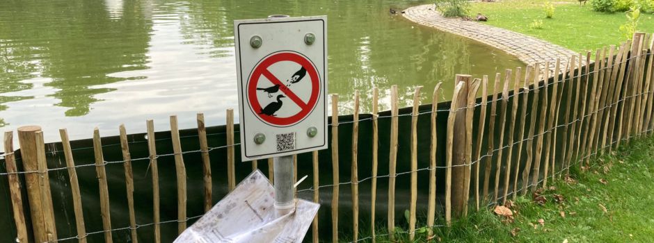Nilgans-Plage in Wiesbaden: Zaun am Warmen Damm schon demoliert
