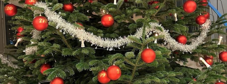 Weihnachtswunschbaumaktion 2024: Jetzt spenden