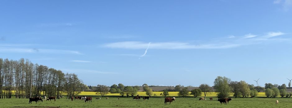 Grußwort des Bürgermeisters