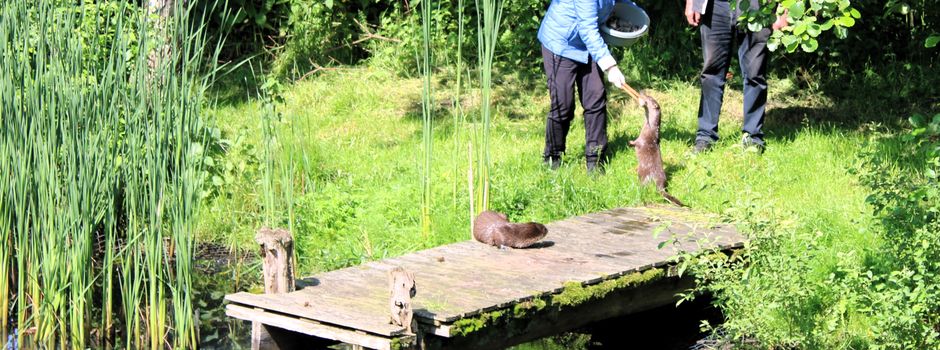 Buntes Programm am alten Bahnhof