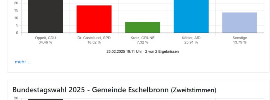 Bundestagswahl 2025