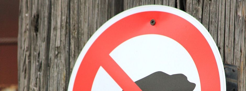 Ein leidiges Thema: Hundekot