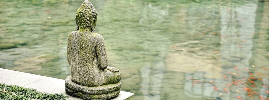 Auf dem Weg zur Erleuchtung