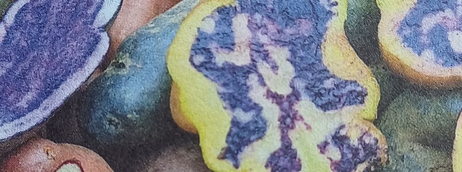 Auf dem Wochenmarkt blaue und rote Chips probieren