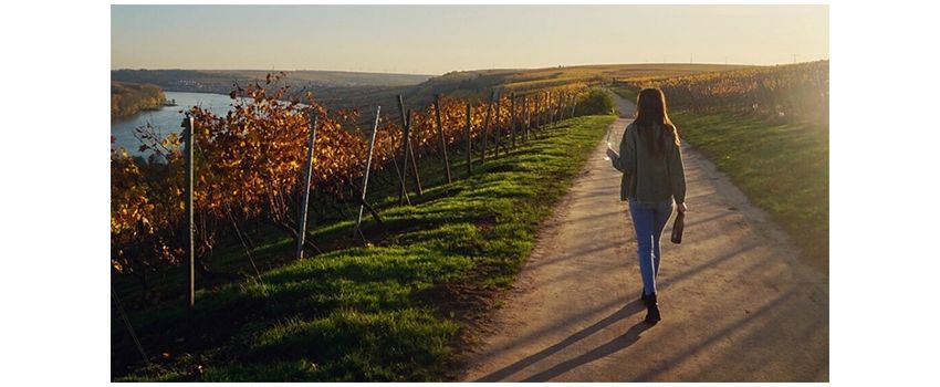 Weingut Gröhl lädt zur großen Jahrgangsverkostung