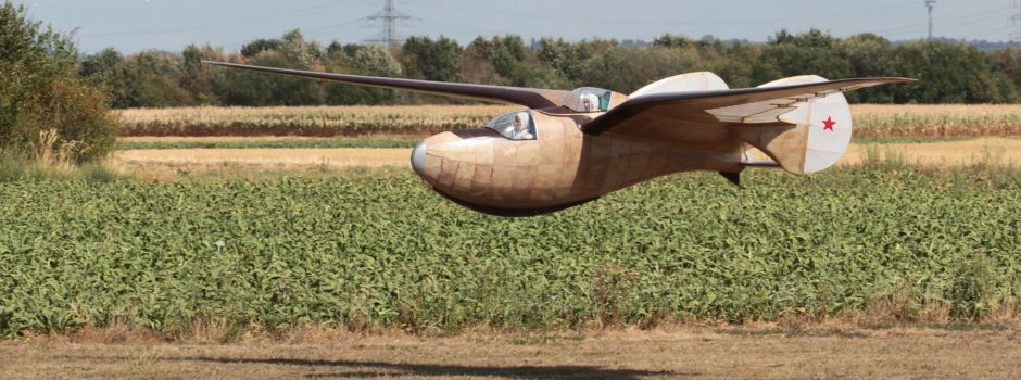 EUROFLUGTAG und Euro-Food-Meile