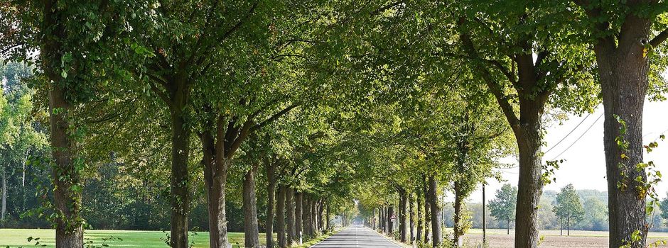 Fahrradweg Lückenschluss