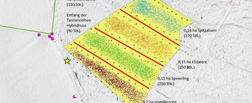 Die RaiBa spendiert Irndorf 1000 neue Bäume