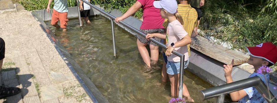 Storchentag bei der NaVo