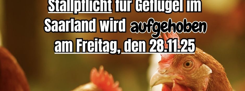 Vogelgrippe im Saarland: Stallpflicht für Geflügel wird am Freitag, den 28. November, aufgehoben