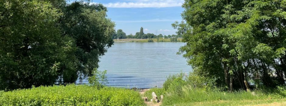 Fotostrecke: So schön sieht der Sommer in Niederkassel aus!