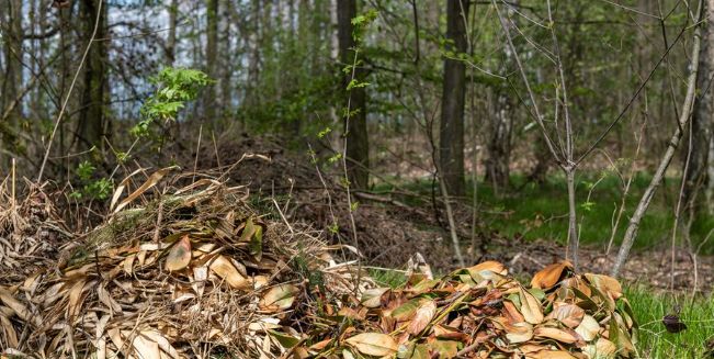 Grünabfall richtig entsorgen !
