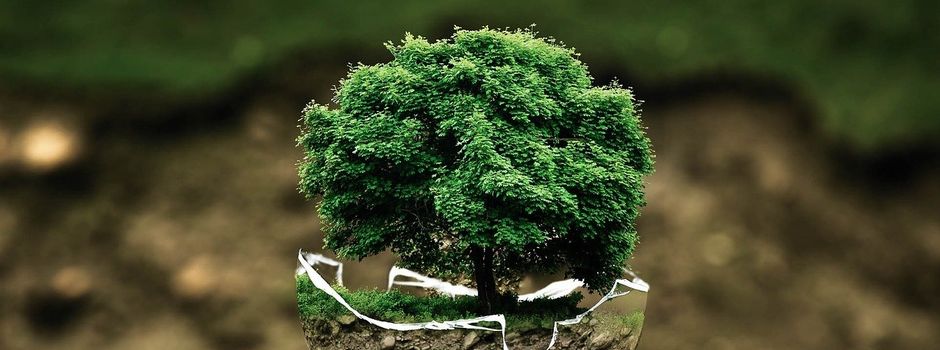 Förderprogramm „Exkursionen für Umwelt- und Klimaschutz“