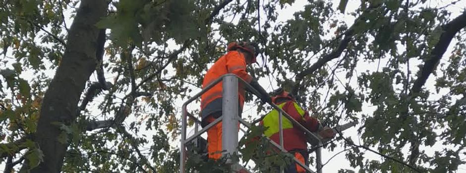 Unser Bauhof im Einsatz – Aktuelles aus unserer Gemeinde direkt in der Ortsapp!