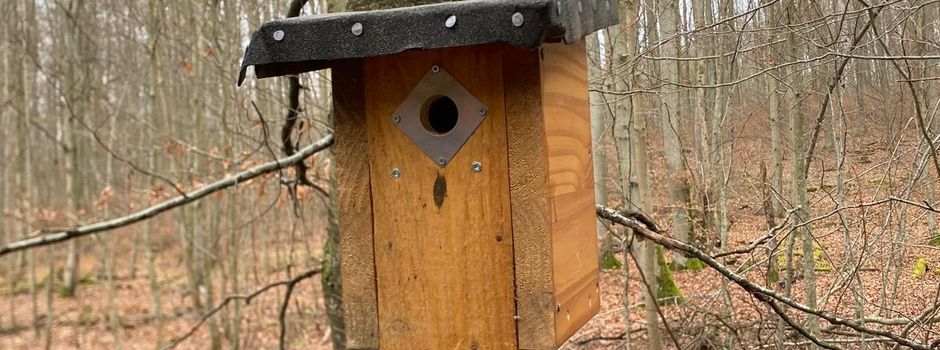 Nistkästen Aktion mit NaVo e.V.