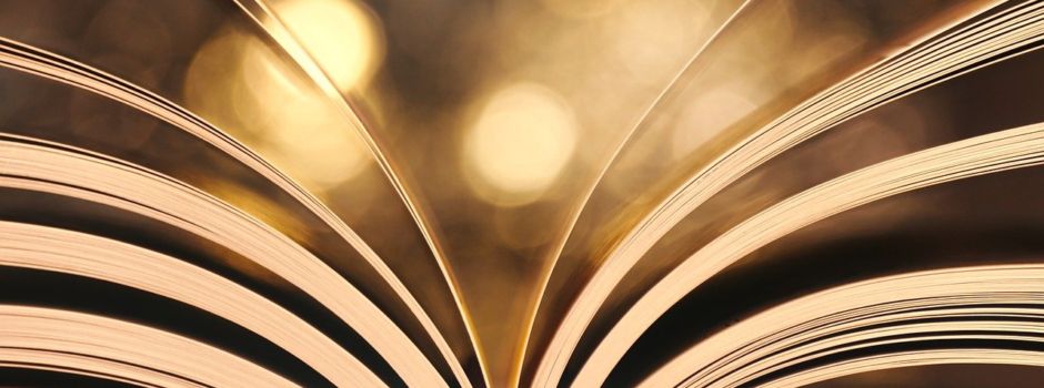 Einladung zur „Wäller“-Lesung mit Uli Schneider am 11.10.24 um 19:30 Uhr