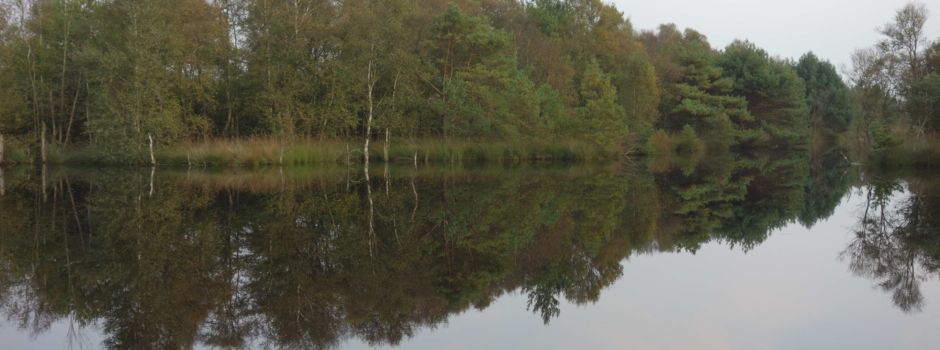 Wasserspiegelungen, manchmal muss  man zweimal hinschauen