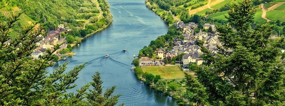 Betriebsausflug 2026: Gemeinsam in die Weinberge