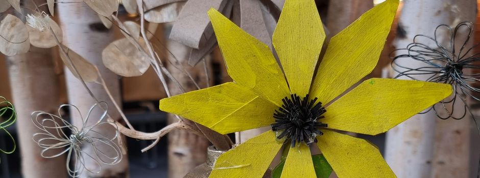 Jugendbereich der Waldmühle wird in ein farbenfrohes Blumenmeer verwandelt
