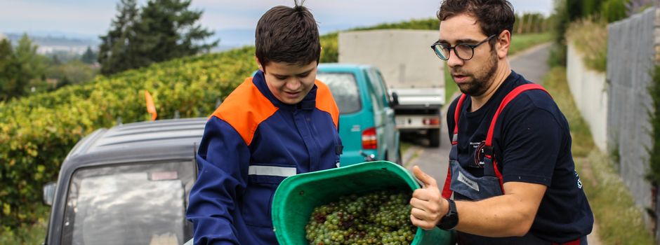 Warum Feuerwehrleute in Mainz bei der Weinlese helfen