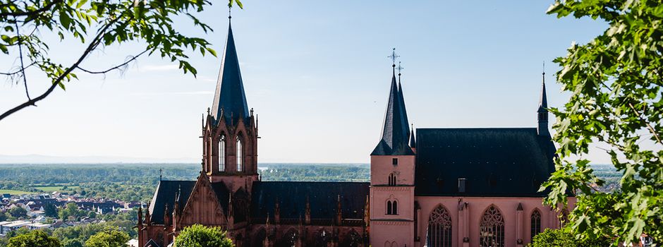 Wortgewalt im Wingert: Literarische Wanderung führt durch Oppenheimer Reben