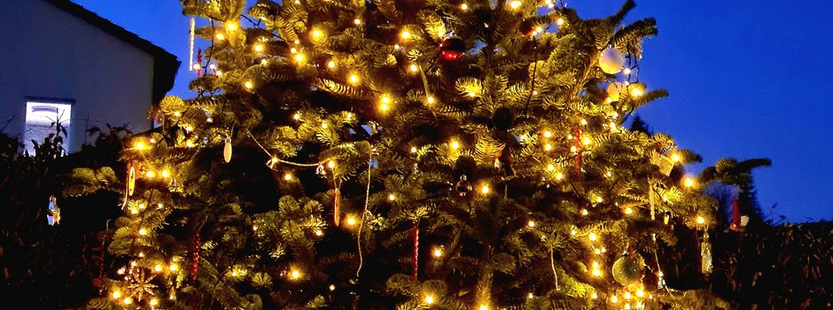 Weihnachtsbaum an der Kita