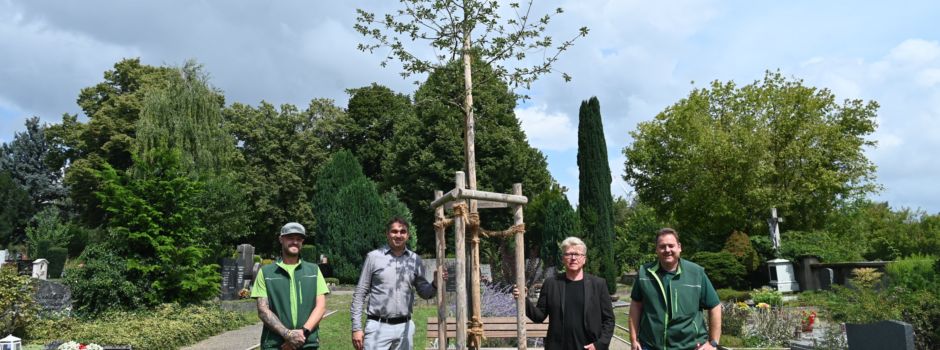 Sieben Bäume für Wormser Friedhöfe gespendet