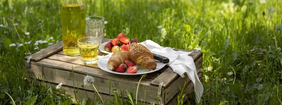 „Frühstück und Waldglück“