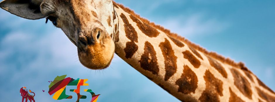 Safariland Stukenbrock hat die „wildeste Saison deines Lebens" eröffnet 