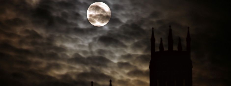 Neue ZDF-Vampir-Serie: Komparsen aus Mainz und Umgebung gesucht