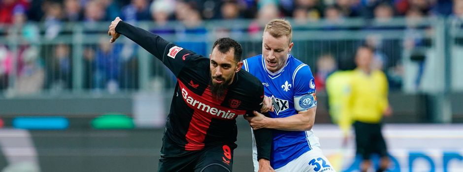 Bayer und Bayern im Gleichschritt zum Topspiel