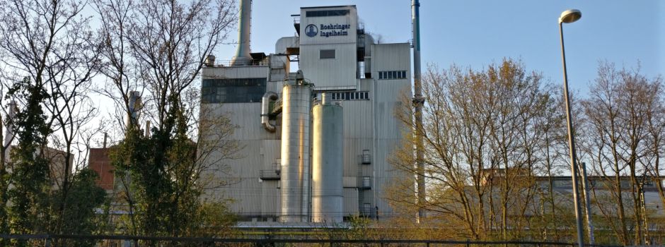 Das sind die besten Arbeitgeber in Mainz und Rheinhessen