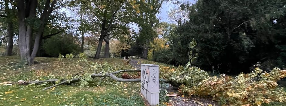 Sturmtief „Ignatz“ sorgt für Feuerwehreinsätze