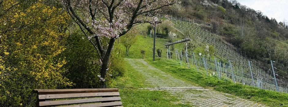 Neue Wellness-Liegen für Wintrich