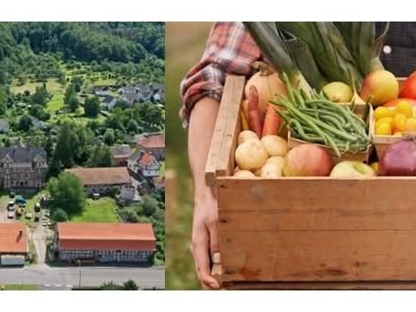 Dorfladen Aue: Regionale Nahversorgung soll Realität werden