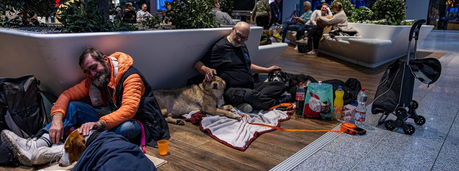 Flughafen wird an Silvester zum Hunde-Rückzugsort