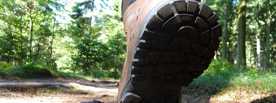 Wanderung zur Luhequelle und zum Abenteuerspielplatz