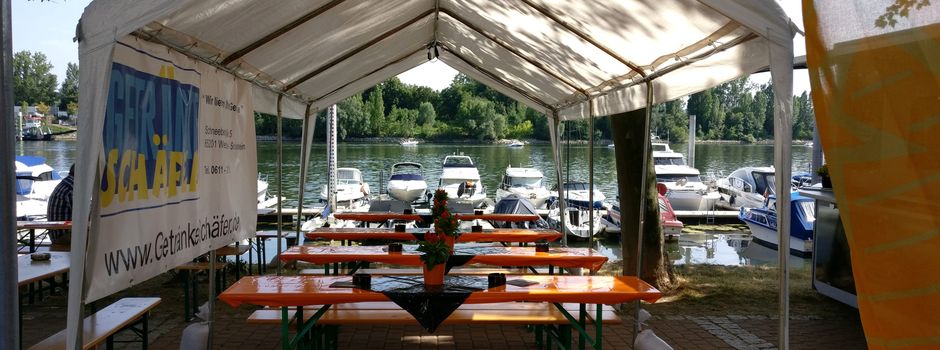 Sorge vor dem Hafenfest in Wiesbaden: Algenplage im Schiersteiner Hafen