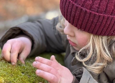 Born soll wieder eine Schule bekommen – eine besondere ist geplant