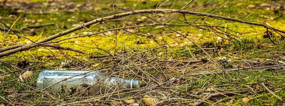 Illegale Müllentsorgung an der Pinnower Badestelle