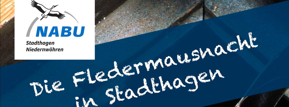 Die Fledermausnacht in Stadthagen