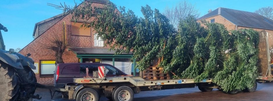 Tannenbaum für "Lütt 
Wiehnacht" schmücken