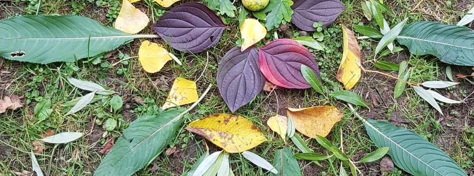 
Natur-Spielgruppe hat wieder freie Plätze
