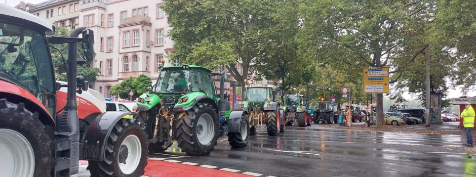 Verkehrsbehinderungen: Landwirte protestieren erneut in Mainz